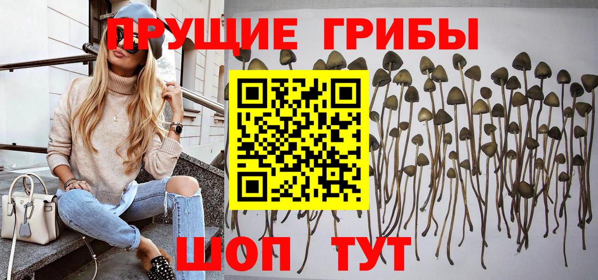 Галлюциногенные грибы GOLDEN TEACHER Джанкой